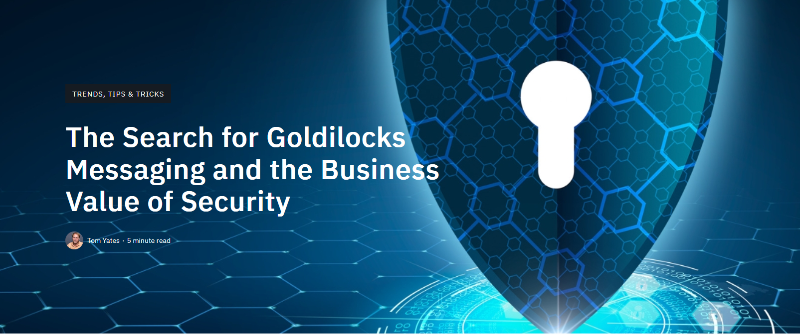 Blog: Messaging to Security Buyers cover